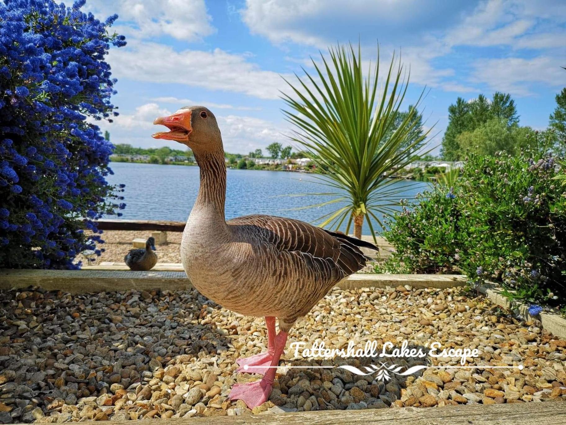 Meridian Tattershall Lakes Escape - Lakeside Lodge Caravan With A Fishing Peg Luxury Hot Tub Buitenkant foto